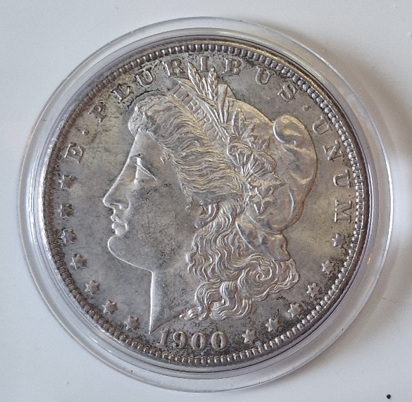 Morgan-1900-P-Photodubling-Or-Double-Wing-And-Wheat?