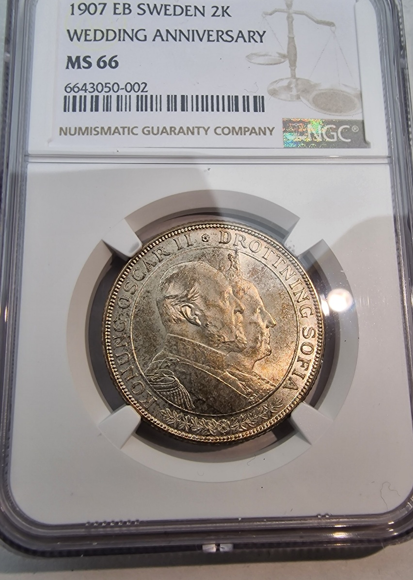 Continuing-List-To-Show-Everyones-Latest-Acquisitions