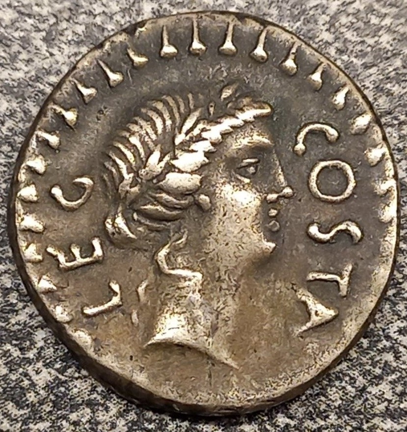 Brutus-Denari-Real-Or-Fake?