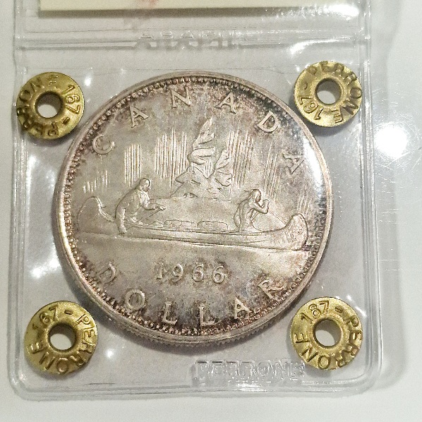 Continuing-List-To-Show-Everyones-Latest-Acquisitions