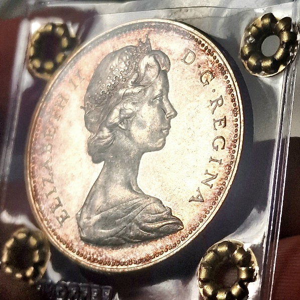 Continuing-List-To-Show-Everyones-Latest-Acquisitions
