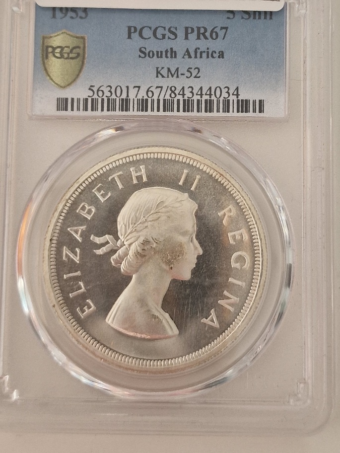 Continuing-List-To-Show-Everyones-Latest-Acquisitions