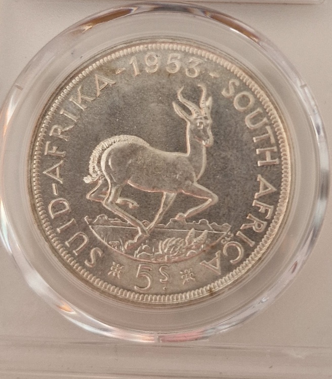 Continuing-List-To-Show-Everyones-Latest-Acquisitions