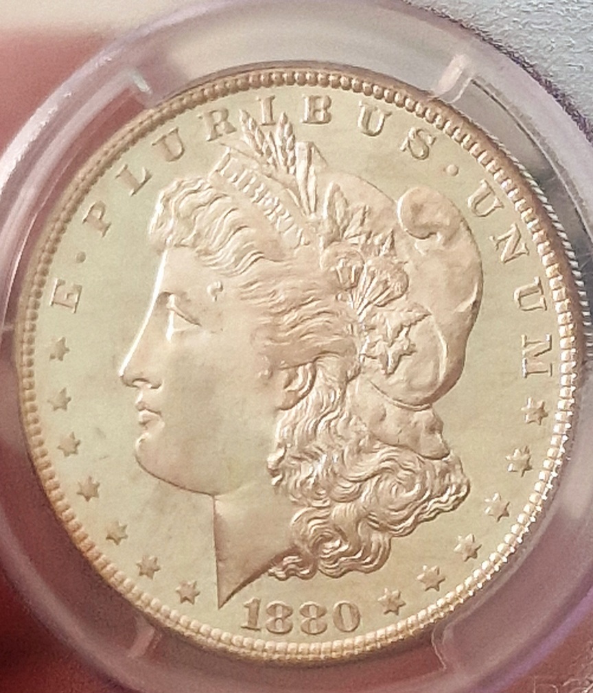 Continuing-List-To-Show-Everyones-Latest-Acquisitions