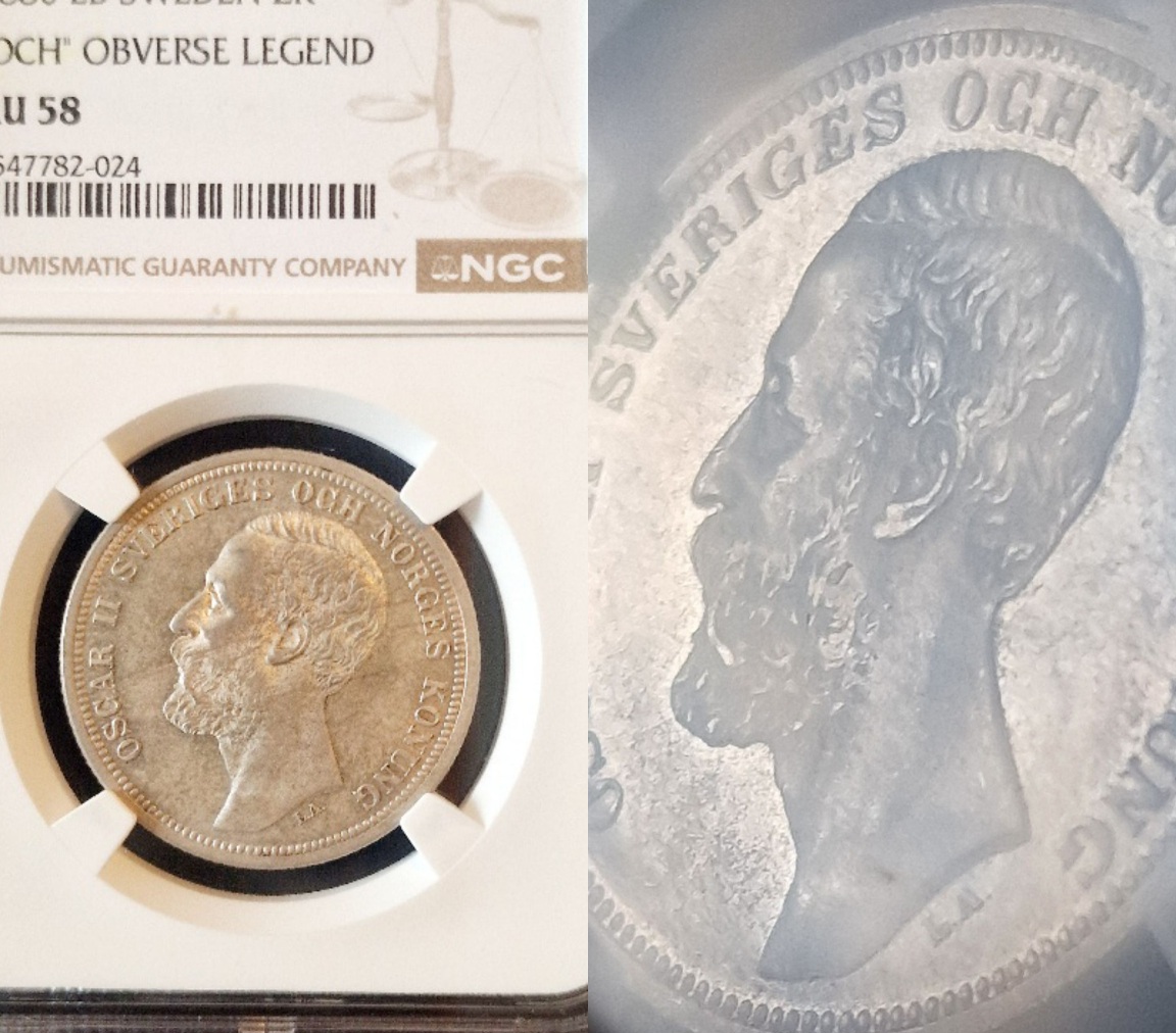 Continuing-List-To-Show-Everyones-Latest-Acquisitions