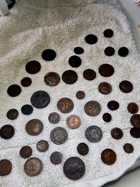 Continuing-List-To-Show-Everyones-Latest-Acquisitions