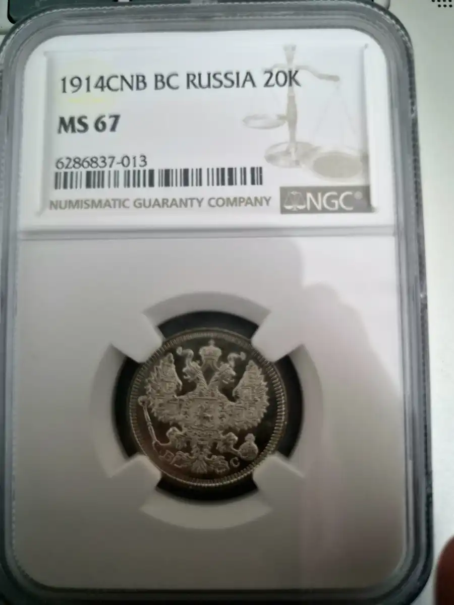 Continuing-List-To-Show-Everyones-Latest-Acquisitions