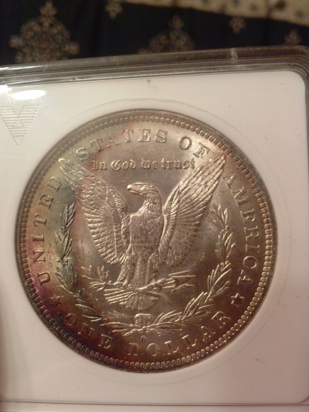 Sharp-Dressed-Eagle-'83o-Morgan