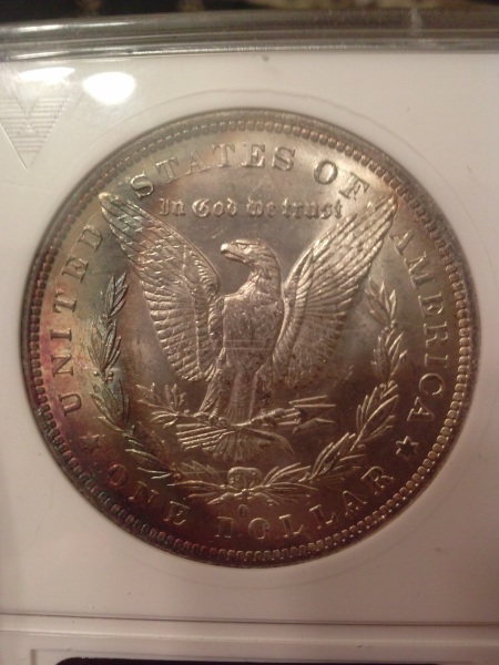 Sharp-Dressed-Eagle-'83o-Morgan