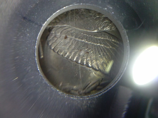 Sharp-Dressed-Eagle-'83o-Morgan