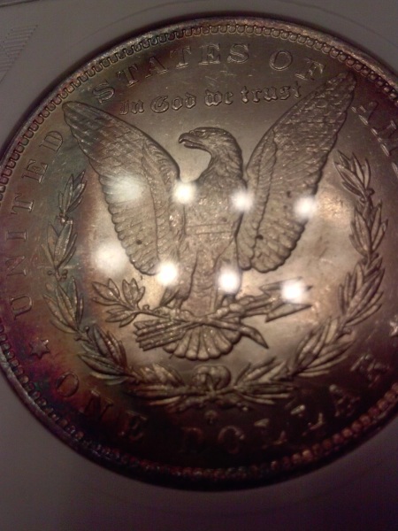 Sharp-Dressed-Eagle-'83o-Morgan