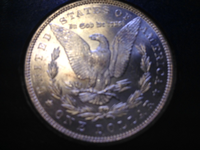 My-First-Morgan-Picture