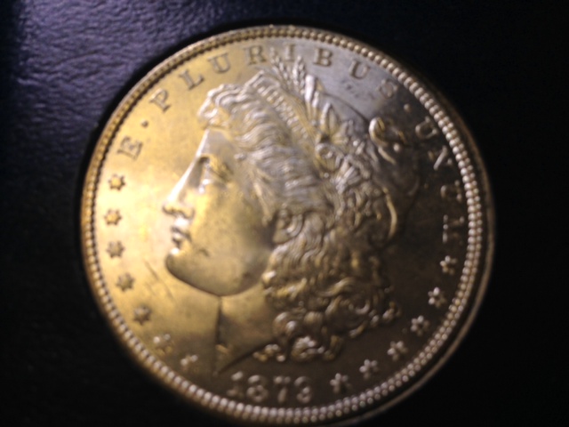 My-First-Morgan-Picture