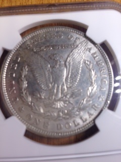 Disappointed-At-First-In-Morgan-Grading