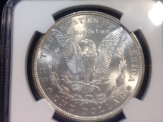 You-Versus-NGC---Morgan-Dollar