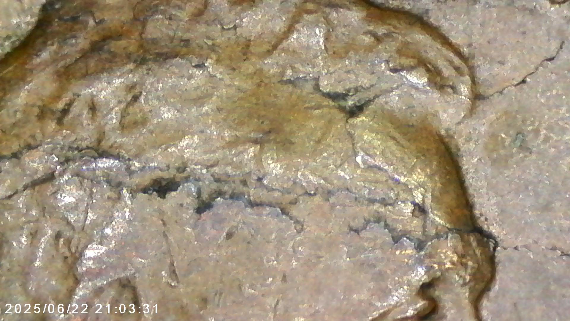 1938-P--1c-Wheat-Penny---Error-Check---Struck-Through?