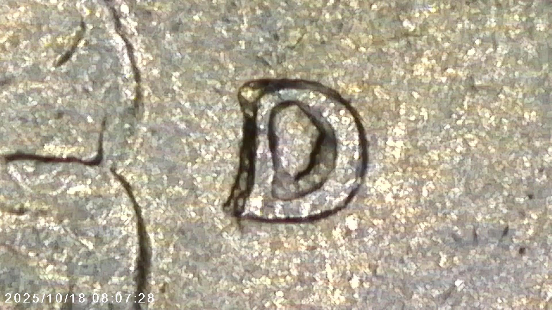 1988-D-Washington-Quarter-25c---Possible-RPM?