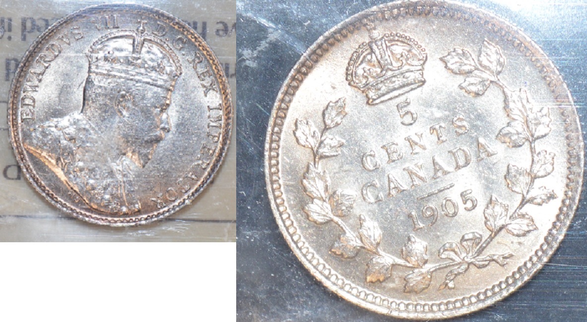 5-Cents-1905-Opinion