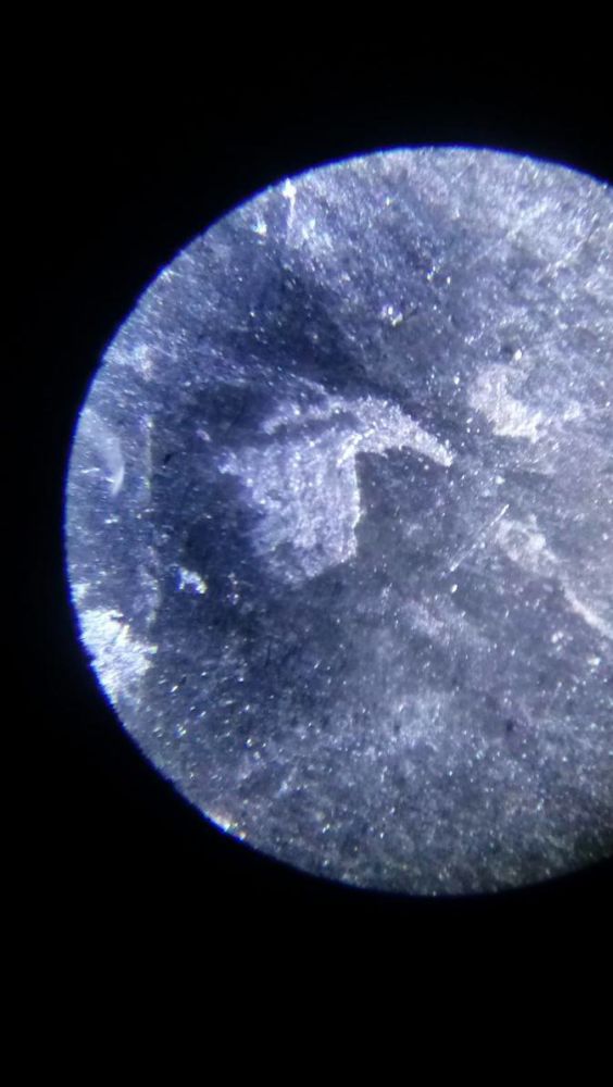 1882-CC-Morgan-Dollar-Mint-Error-Identification-Issue.