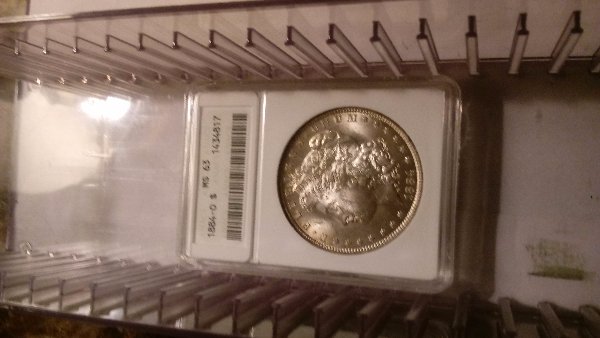ANACS-Yellow-Holder-Storage.-Am-I-Missing-Something.