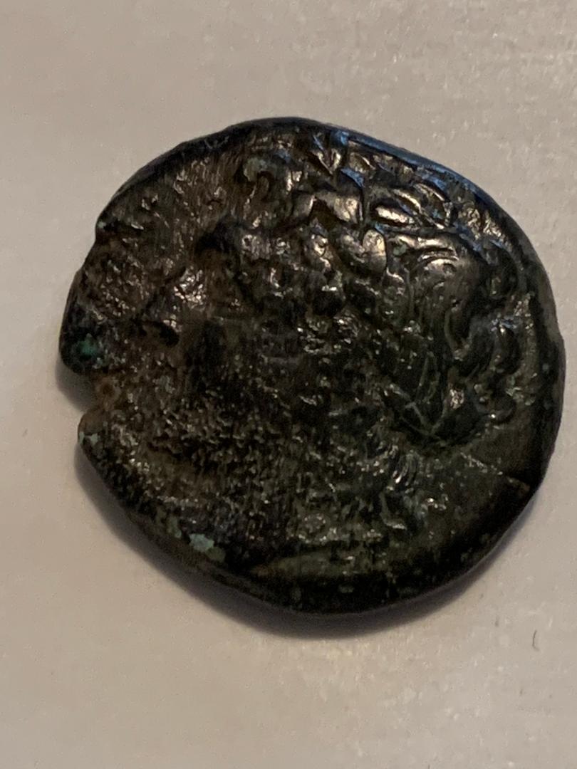 Ancient-Sicily---Syracuse-Hiketas-II-10.5gr