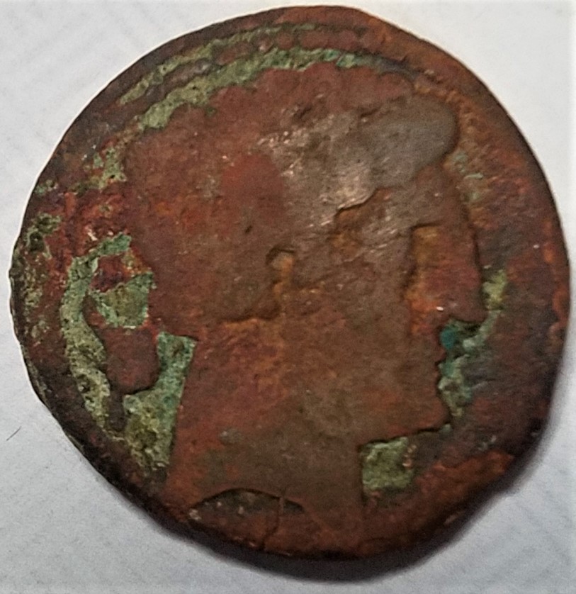 Can-Anyone-Help-Identify-This