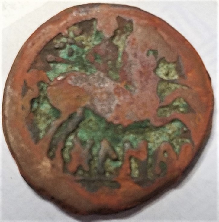Can-Anyone-Help-Identify-This