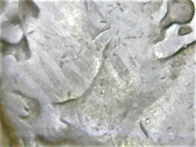 Italy-10-Centesimi-1867n-Lamination-Error