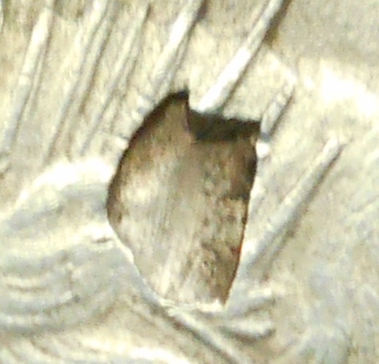1922-Peace-Dollar-PMD-Or-Planchet-Flaw?