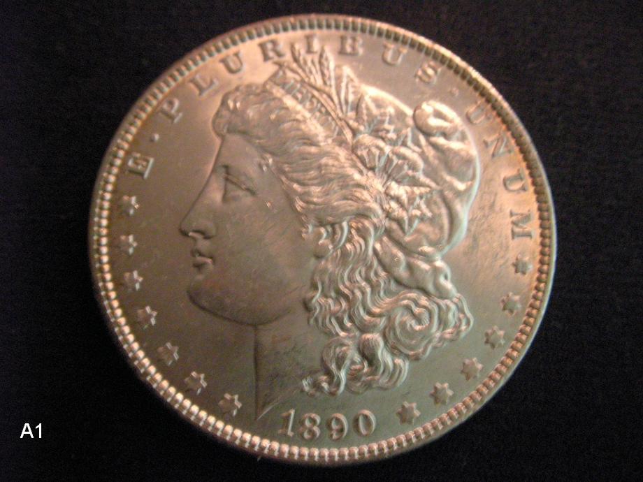 New-Member,-Post-Morgan-Pics