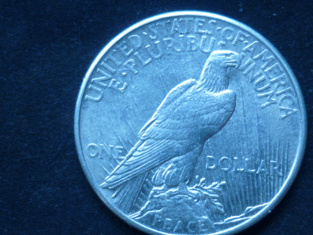 1921-High-Relief-Peace-Dollar-*new-Pics-Added-In-Natural-Light*