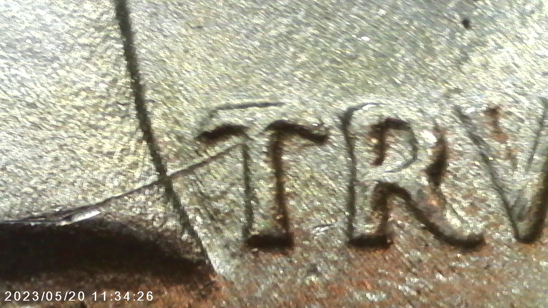 1924-Peace-Dollar-VAM-Help-Dot-In-Tierra-And-Circle-In-Rays