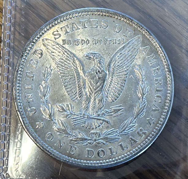 1921-Morgan-Dollar-Doubled-Lower-Tailfeathers.-Please-Help-Identifying-VAM