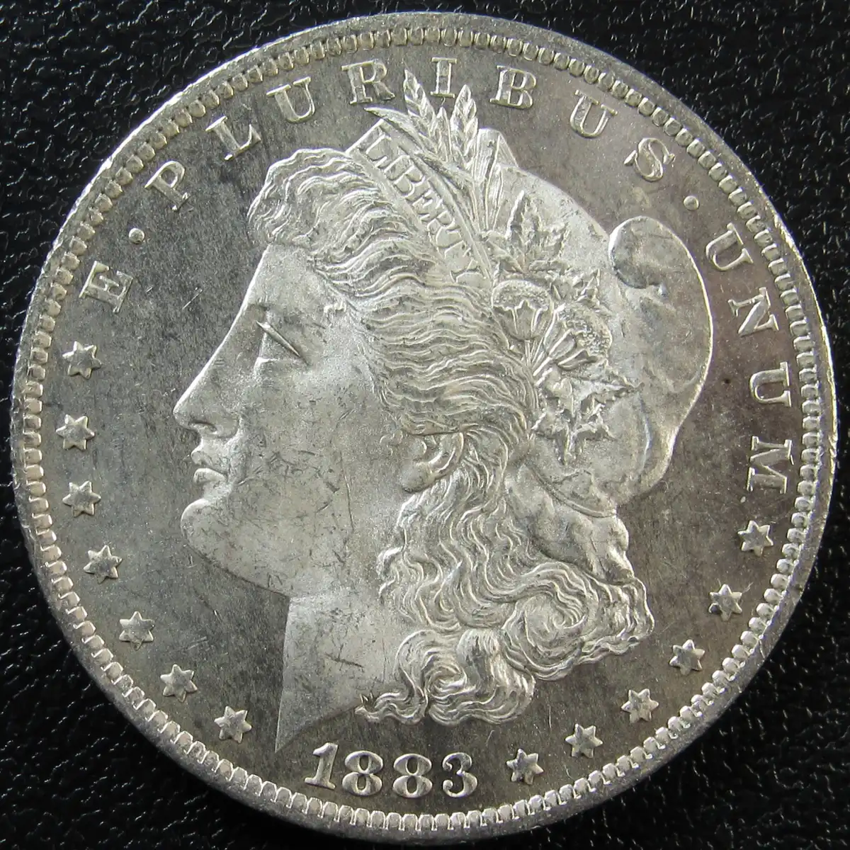 Morgan-Dollar-1883-O-Grading-Opinions