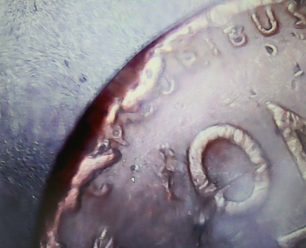 1951-Penny-With-Multiple-Errors