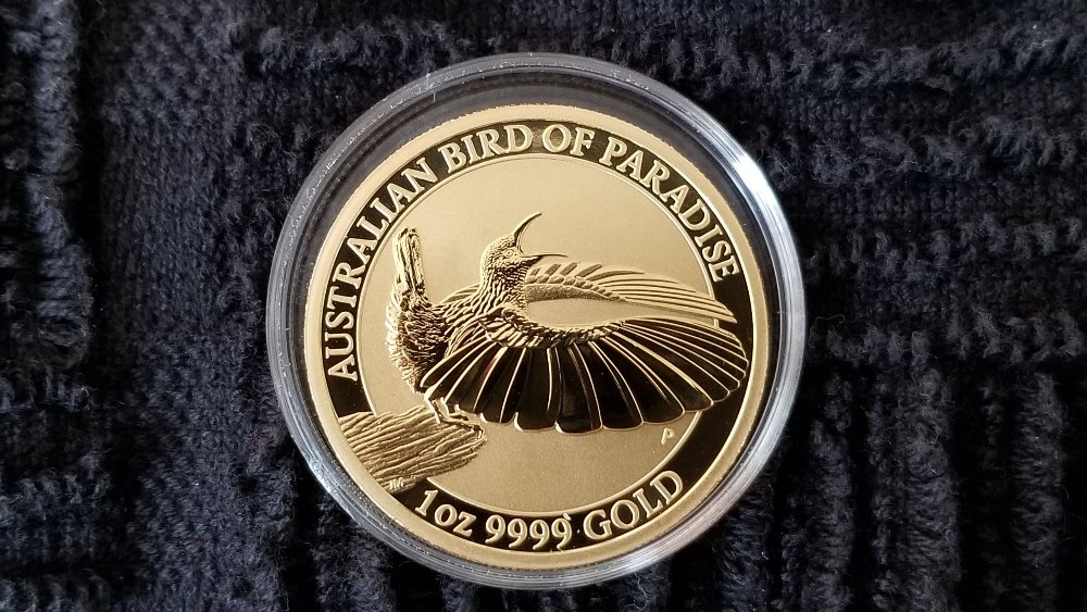 What-Did-You-Add-To-Your-Stash-Today?