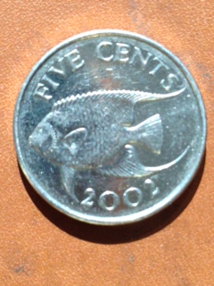 Interesting-Find-From-Circulation