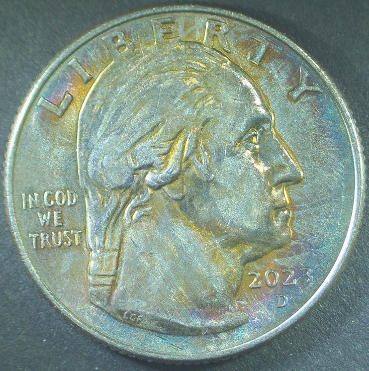 2023-D-Eleanor-Roosevelt-Quarter---Just-Toning-On-Less-Than-1yr-Old-Quarter-.or-Something-Else?