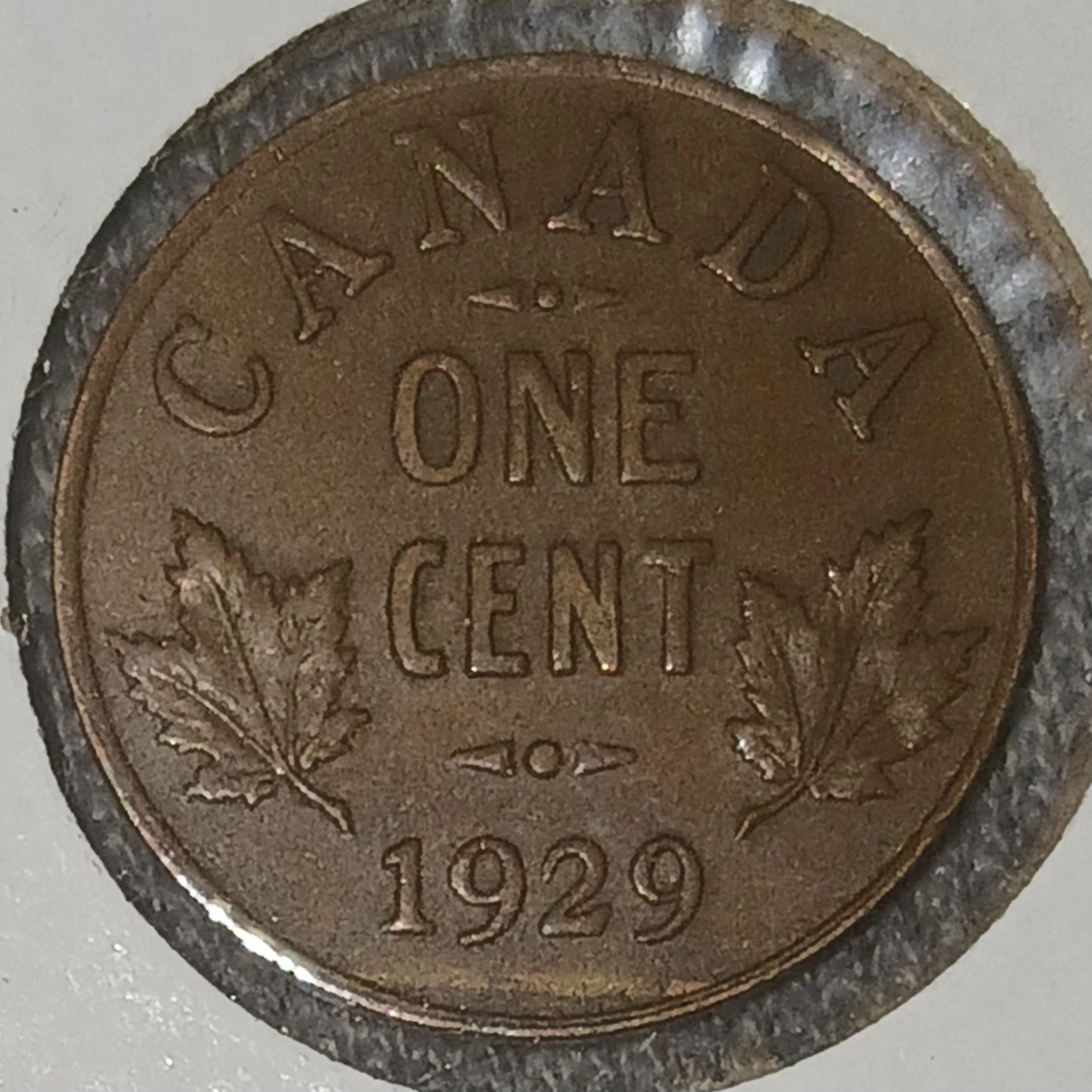 Yet-Another-Forum-Game---Numismatic-Go-Fish!
