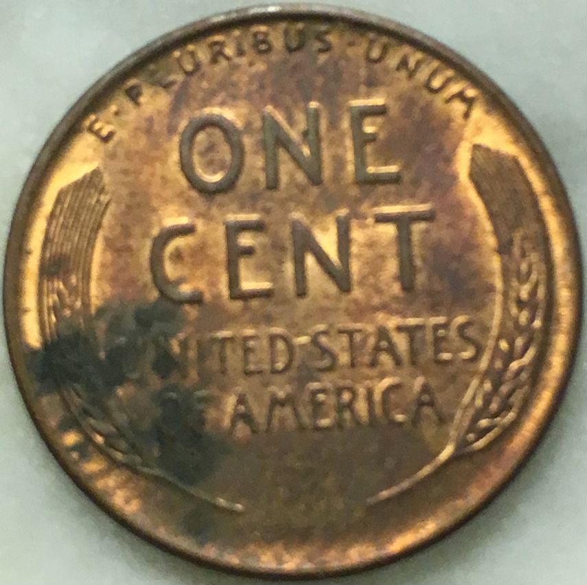Would-You-Buy-This?-How-Much-Would-You-Pay?