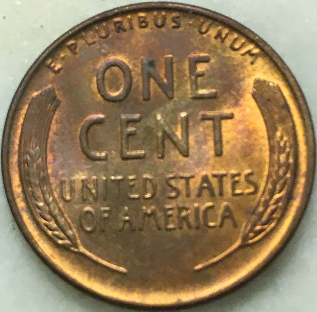 Would-You-Buy-This?-How-Much-Would-You-Pay?