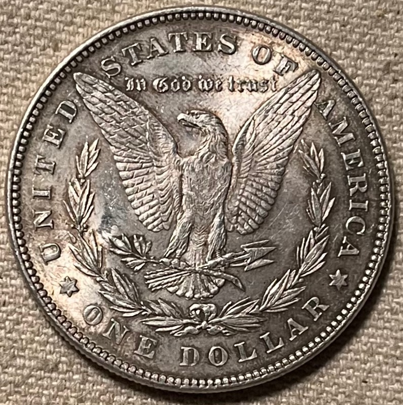 1878-7-Over-8-Tail-Feathers