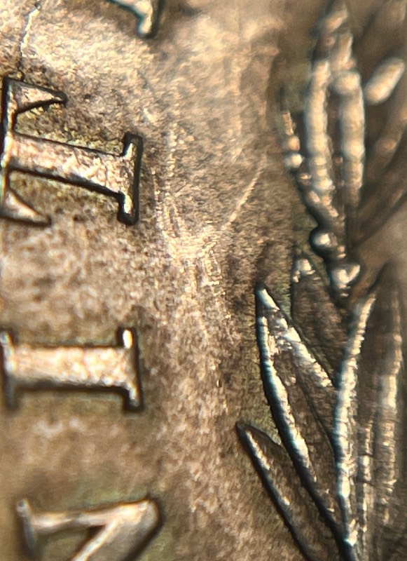 1878-7-Over-8-Tail-Feathers