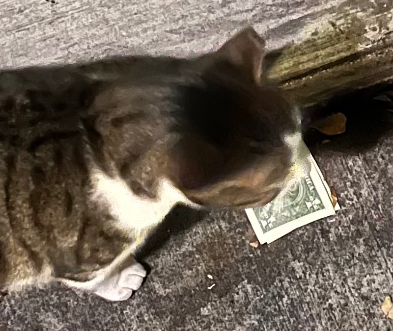 Post-Your-Stories-&-Pix-Of-Found-Money