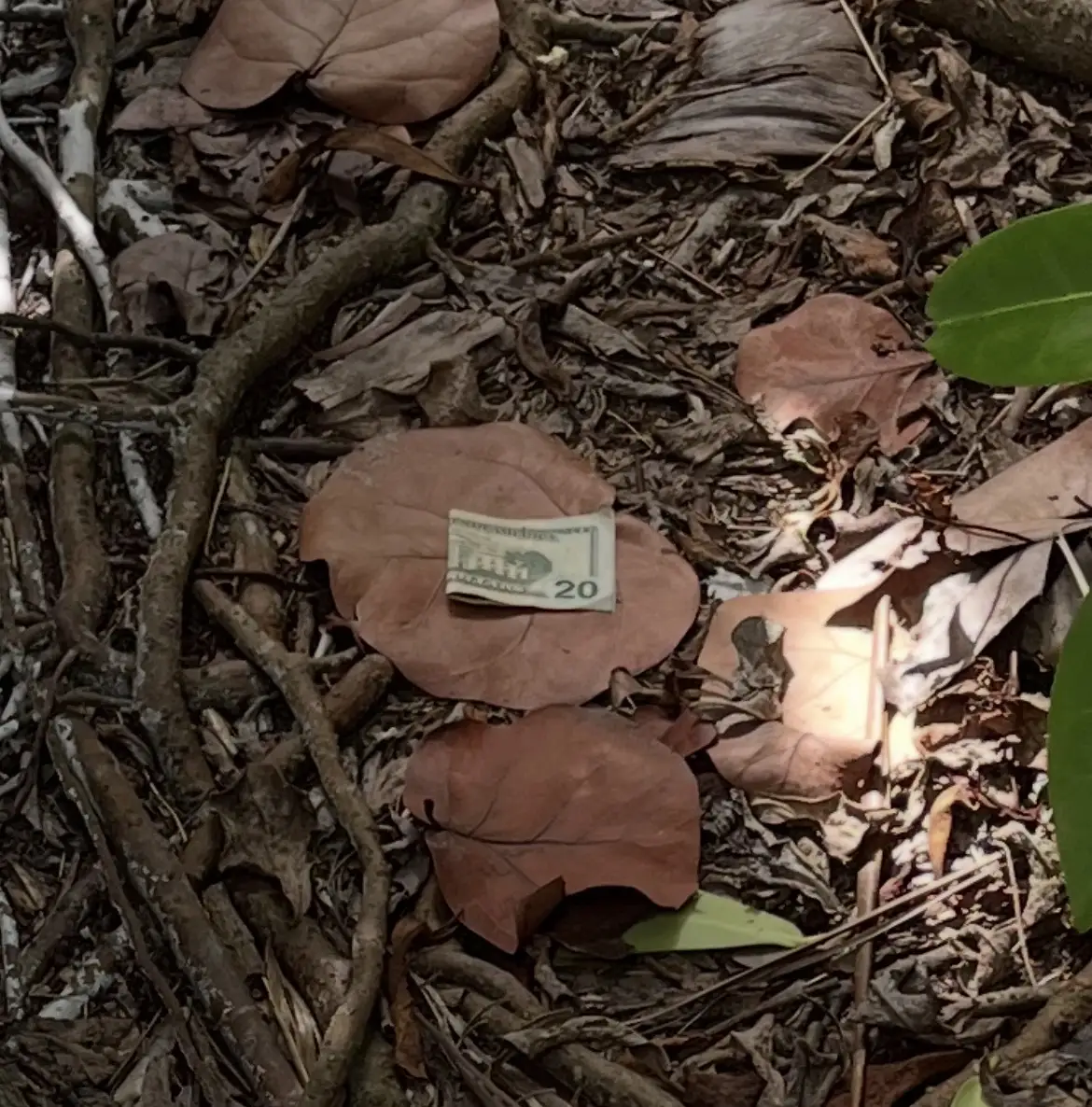 Post-Your-Stories-&-Pix-Of-Found-Money