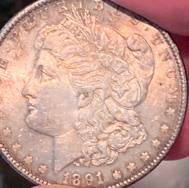 A-Toned-1891-Morgan-Grade?-New-Picture