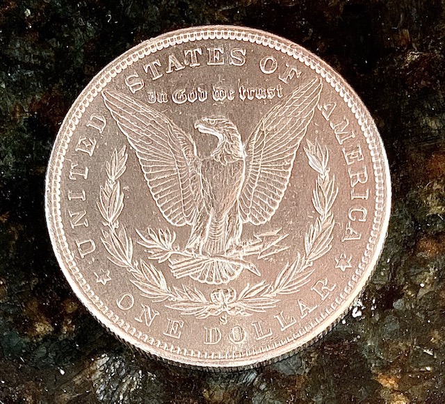 1889-S-Morgan-Grade-Please