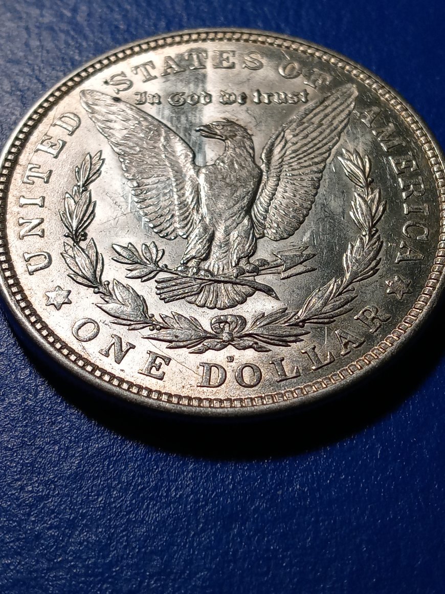 On-A-VEDS-VAM-1B1-1921-D-Morgan-Dollar