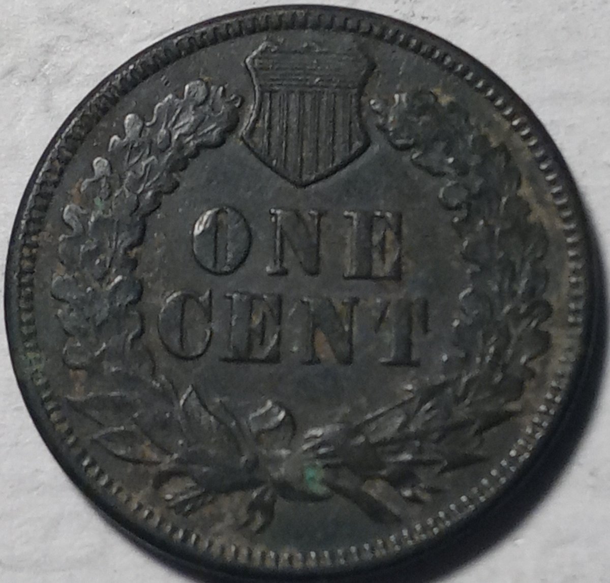 Continuing-List-To-Show-Everyones-Latest-Acquisitions
