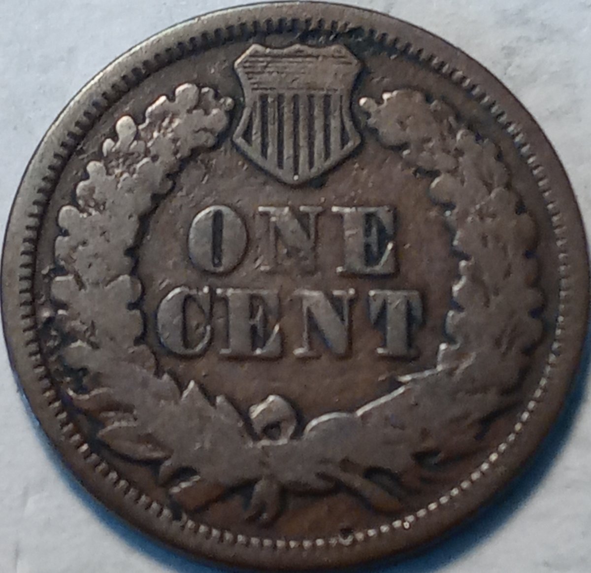 Continuing-List-To-Show-Everyones-Latest-Acquisitions